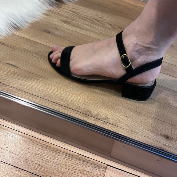 Stuart Weitzman Black Suede Block Heels - Picture 9 of 9